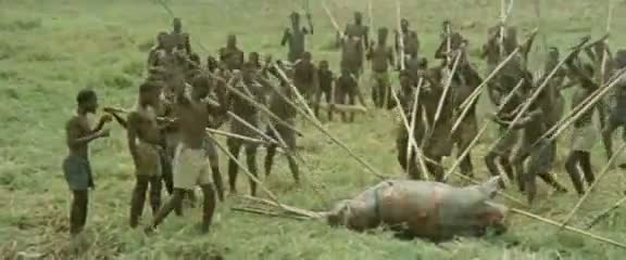Afrika'da vahşi hayvan katliamı 78