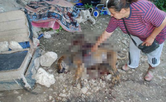 Bunu yapan insan olamaz! 4