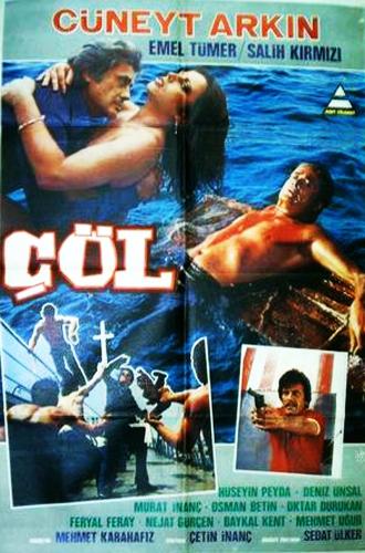 Hollywood uyarlaması Türk Filmleri 7