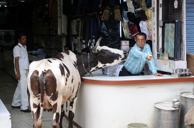 Burada her şey gerçek! 46