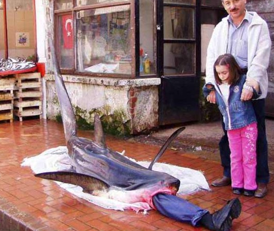 Yurdum insanı gülmekten kopartıyor 10