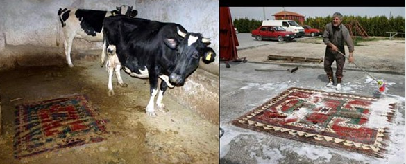 Yurdum insanı gülmekten kopartıyor 13