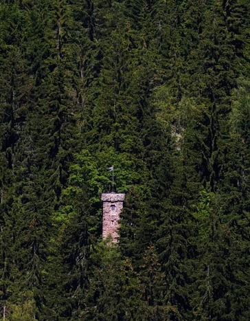 Tam o anda çekilen fotoğraflar - 4 9