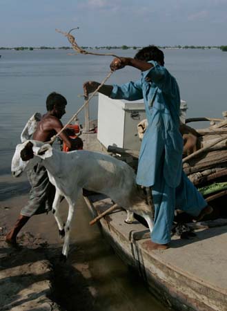 Pakistan sular altında 37