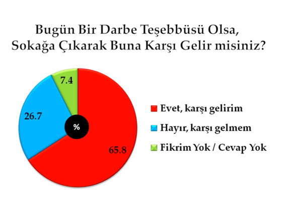 En kapsamlı darbe anketi 13