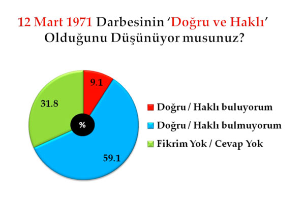 En kapsamlı darbe anketi 42