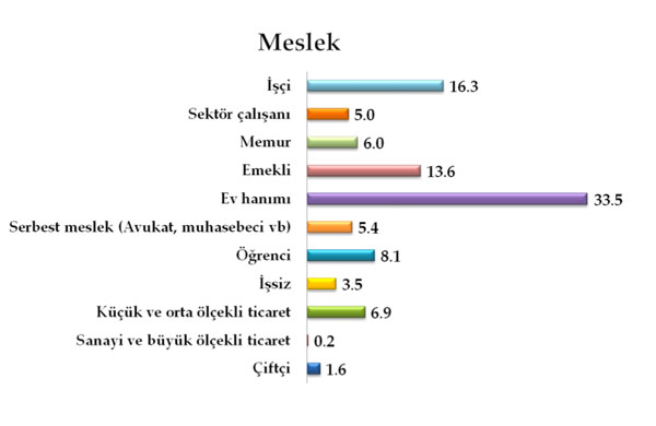 Bu pazar seçim olsa? 19