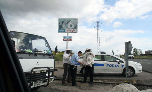 Arılar karayoluna saçıldı 3