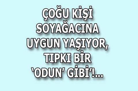 Bağımlılık Yapan Sözler! 13