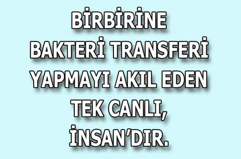 Bağımlılık Yapan Sözler! 21