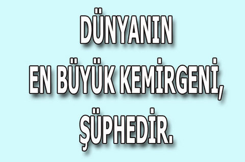 Bağımlılık Yapan Sözler! 30