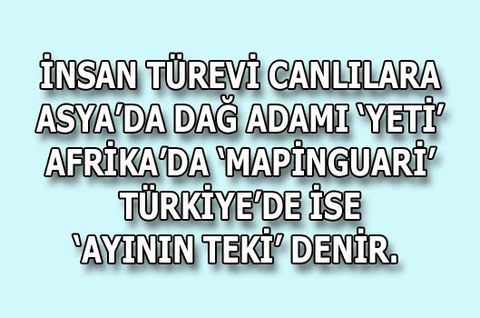 Bağımlılık Yapan Sözler! 5