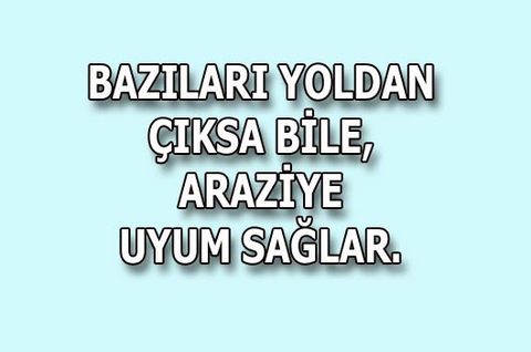 Bağımlılık Yapan Sözler! 6
