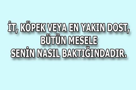 Bağımlılık Yapan Sözler! 8