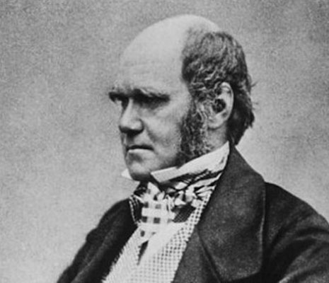 Darwin'in garip oyunu 10