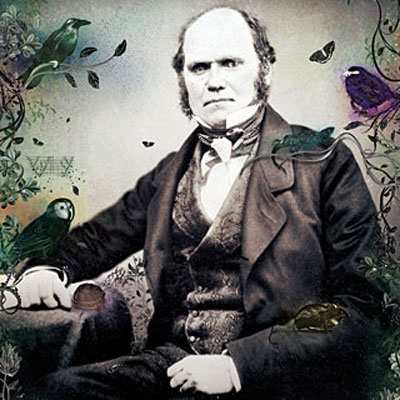 Darwin'in garip oyunu 11