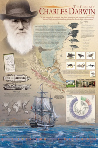 Darwin'in garip oyunu 13