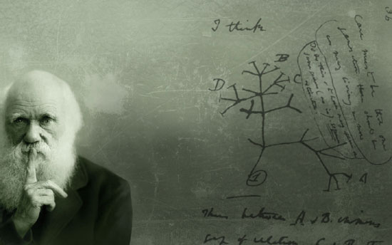 Darwin'in garip oyunu 16
