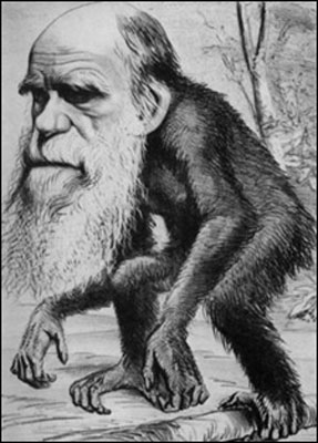 Darwin'in garip oyunu 18