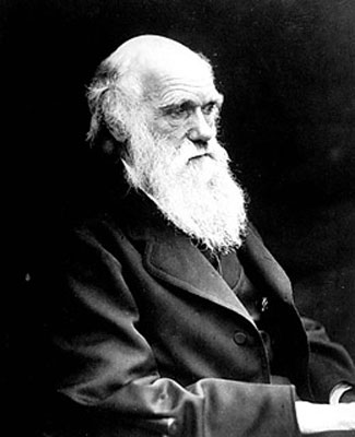 Darwin'in garip oyunu 19
