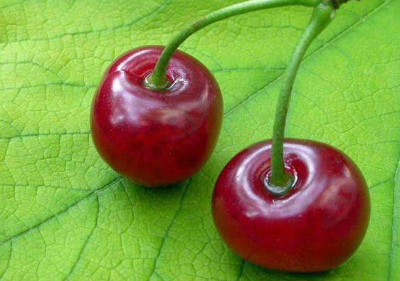 İşte Kuran'da adı geçen meyveler 26