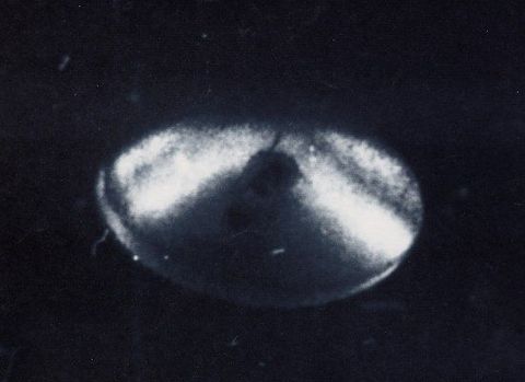 UFO'ların kayıtlı gerçeği 1