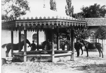 Kanuni Pargalı'yı neden öldürttü? 10
