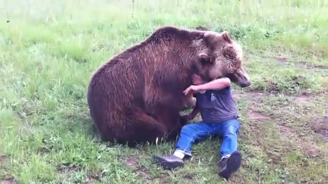 Ayıdan dost olur mu? 12