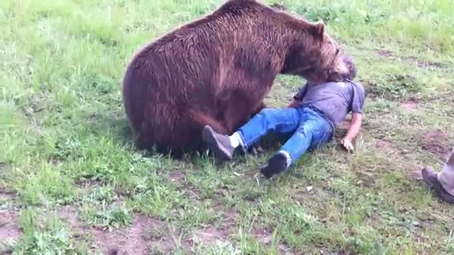 Ayıdan dost olur mu? 19