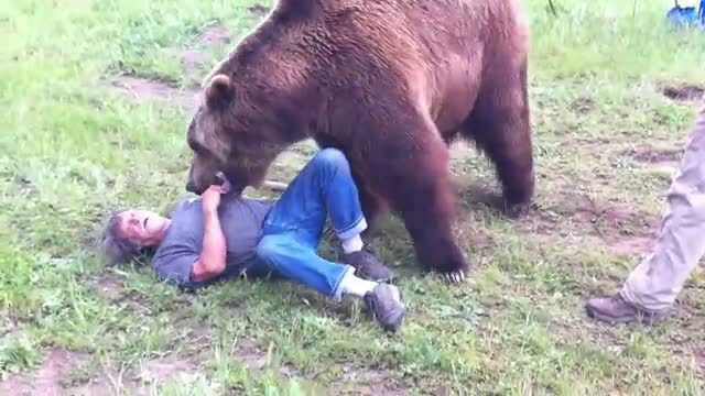 Ayıdan dost olur mu? 30