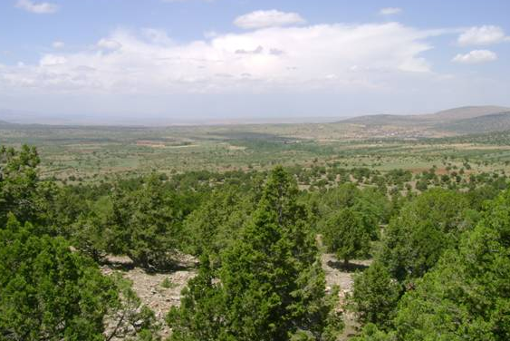 İşte memurun kazandığı 20 hak 14