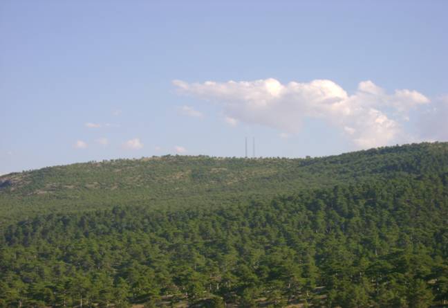 Memurların kazandığı 20 hak 15