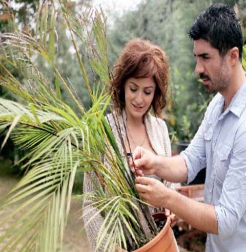 Yeşilçam'da av mevsimi 8
