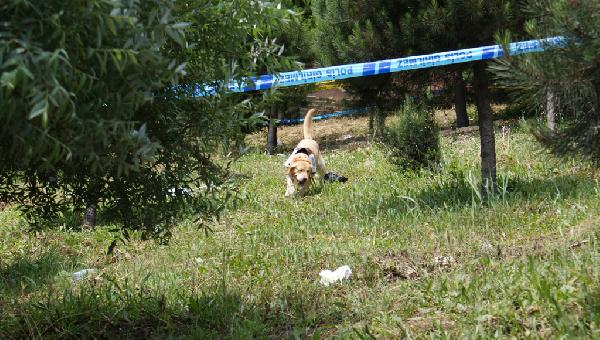 İstanbul'da canlı bomba alarmı 3