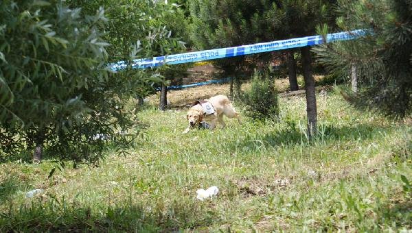 İstanbul'da canlı bomba alarmı 7