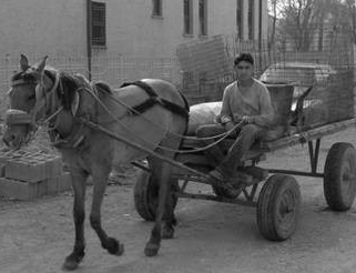 Bir zamanlar Türkiye 34
