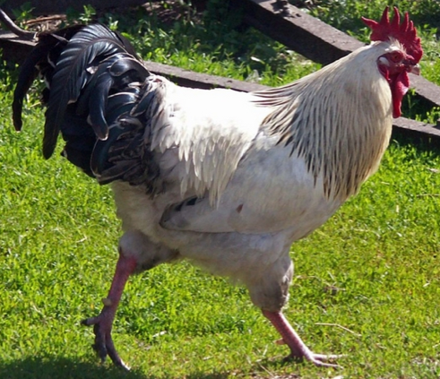 1 Temmuz'da hayatımızda neler değişecek? 2