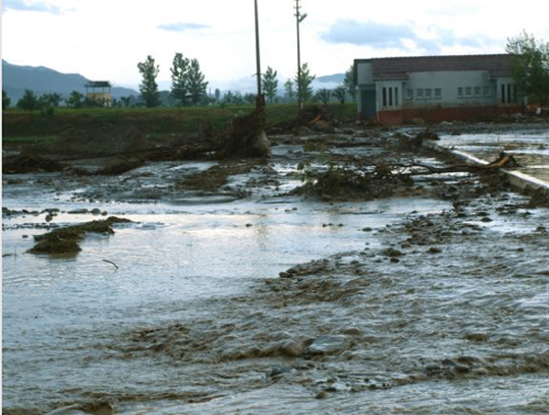 Sinop dehşeti yaşadı 11