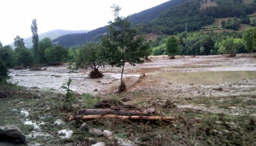 Sinop dehşeti yaşadı 3
