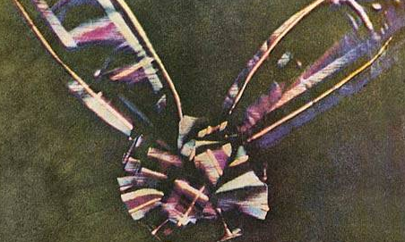 Bu özel fotoğraflar görülmeli 41