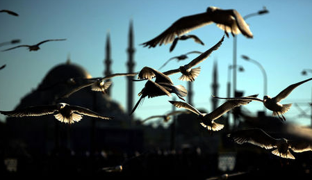 FOTO GALERİ RAMAZAN 33