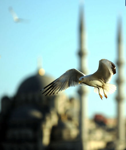 FOTO GALERİ RAMAZAN 36
