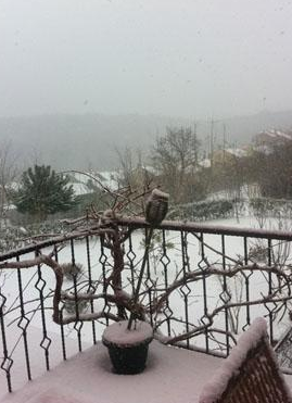 Ünlülerin ev haline bakın! 13