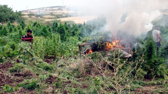 PKK'nın kasasına büyük darbe! 11