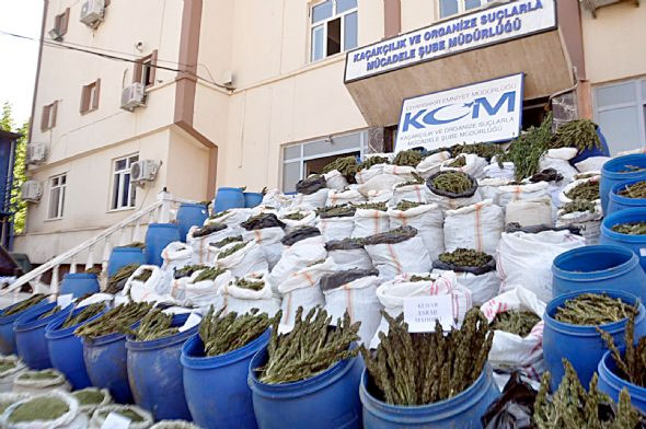 PKK'nın kasasına büyük darbe! 6