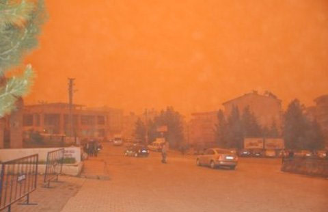 Dikkat! Duyduklarınız sizi korkutabilir! 23