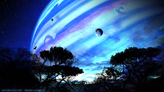 Avatar bitkisi Türkiye'de 20