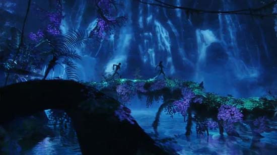 Avatar bitkisi Türkiye'de 26