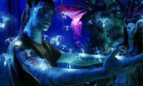 Avatar bitkisi Türkiye'de 3