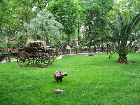 İstanbul'da aşıkların buluşma yerleri 20